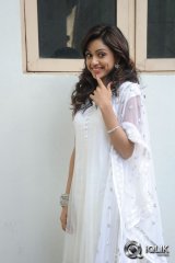 Vithika Sheru at Prema Ishq Kaadhal Press Meet